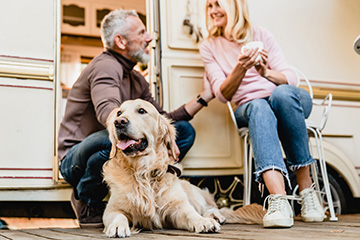 Full time couple with dog